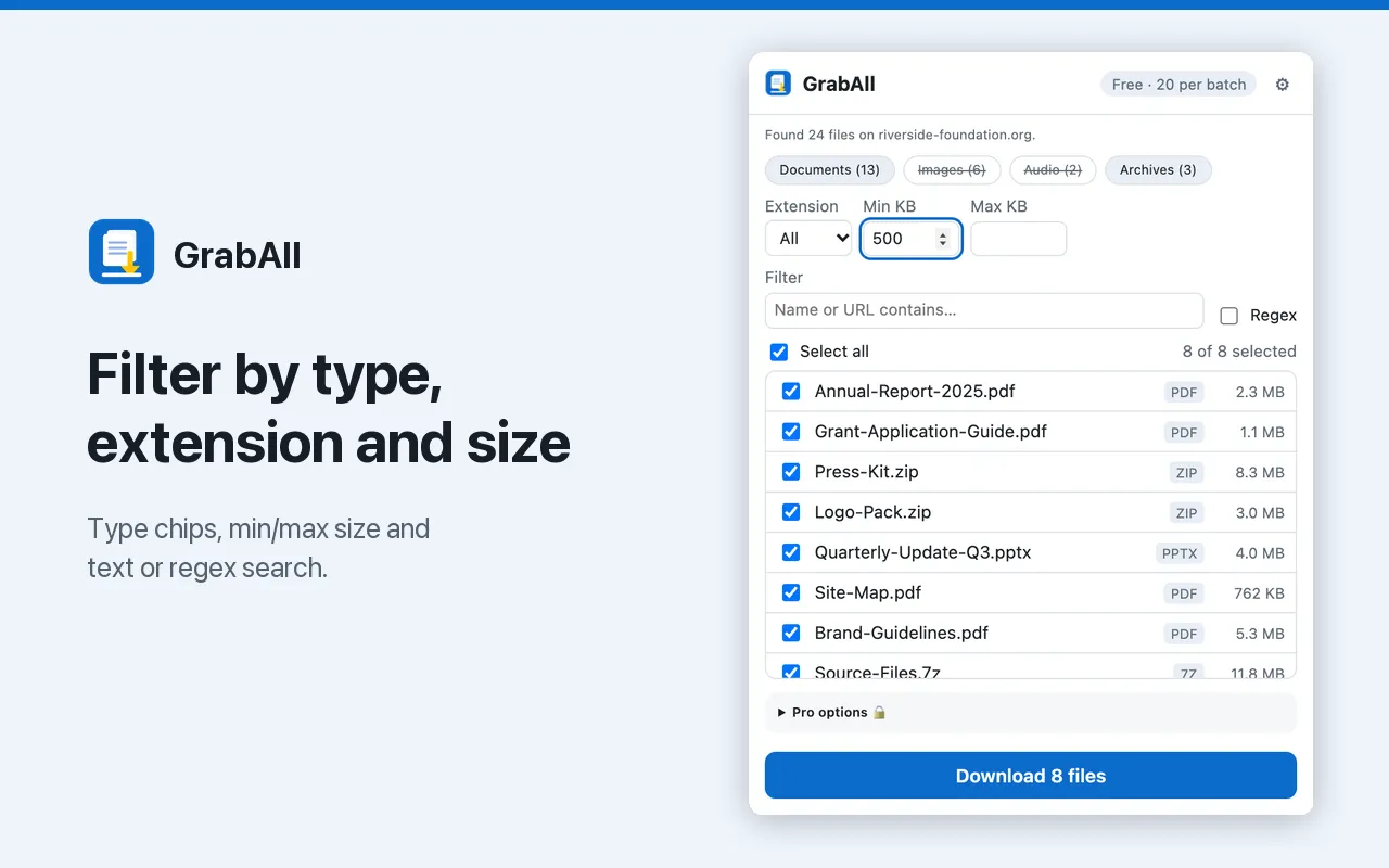 Filter by type chips, extension, size and text or regex search